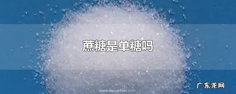 蔗糖是单糖吗