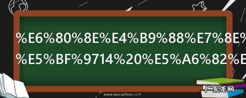 怎么玩三国志14 如何玩三国志14