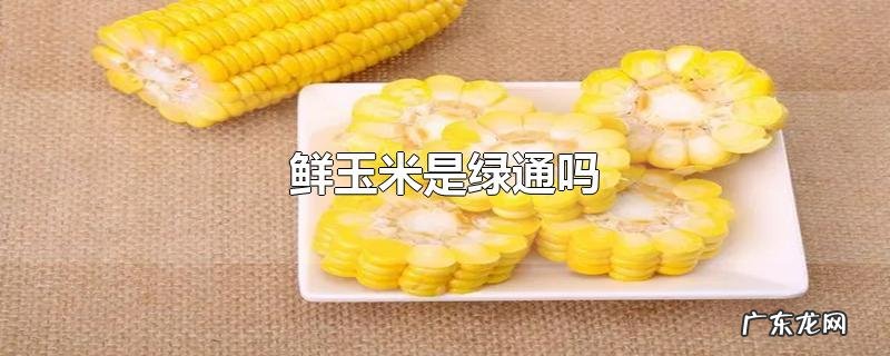 鲜玉米是绿通吗