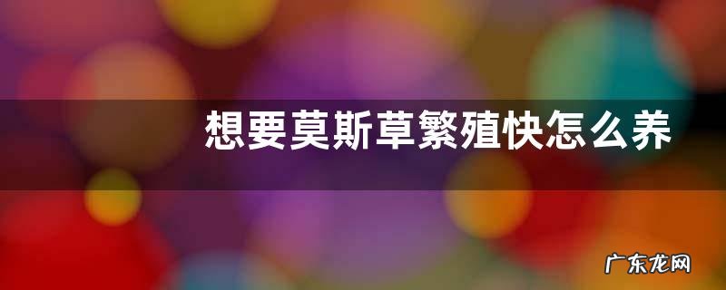 想要莫斯草繁殖快怎么养,附莫斯草的繁殖方式