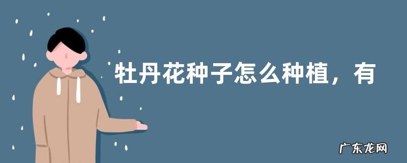 牡丹花种子怎么种植,有哪些注意事项