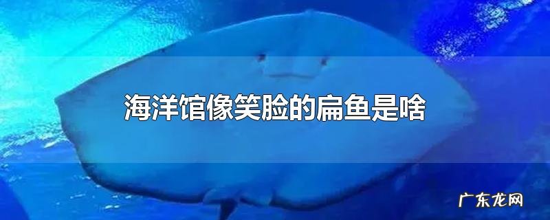 海洋馆像笑脸的扁鱼是啥