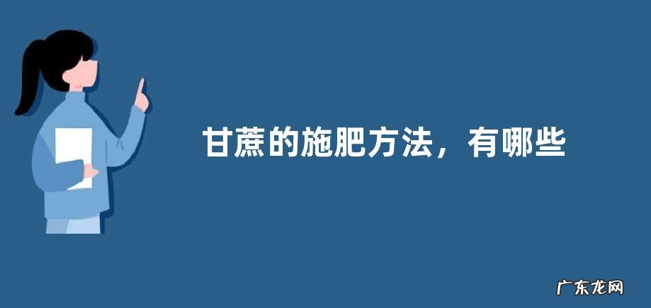 甘蔗的施肥方法,有哪些施肥原则
