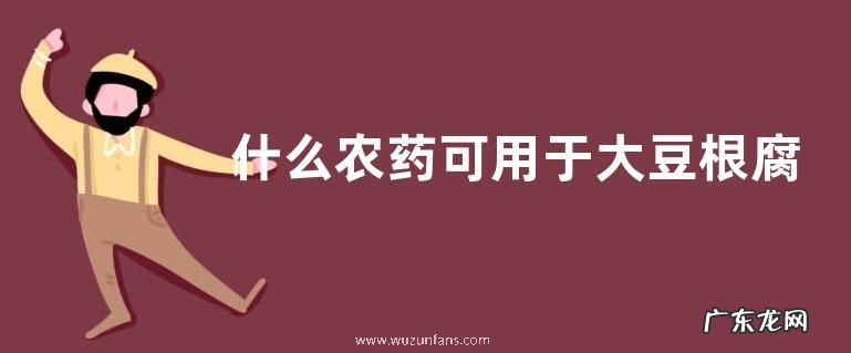 什么农药可用于大豆根腐病,附大豆根腐病的症状表现