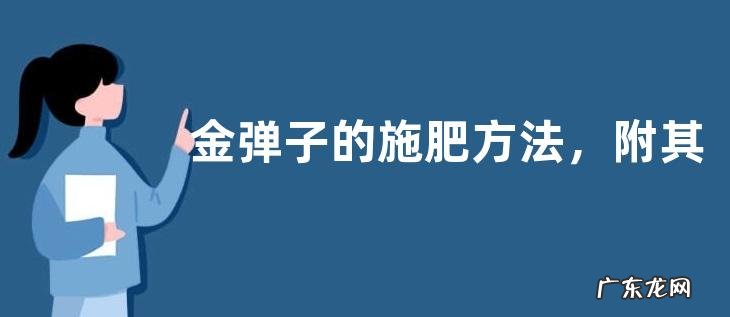 金弹子的施肥方法,附其施肥原则