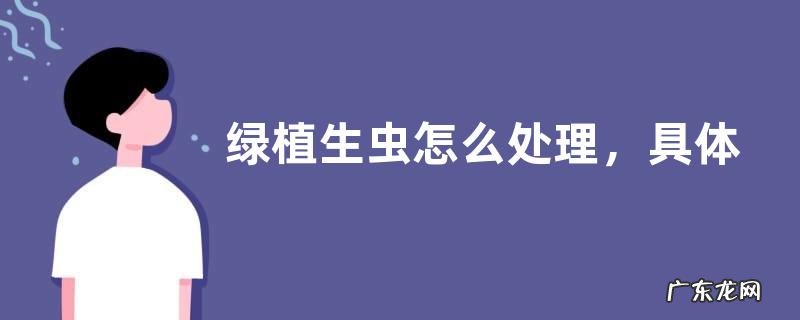 绿植生虫怎么处理，具体可用什么防治