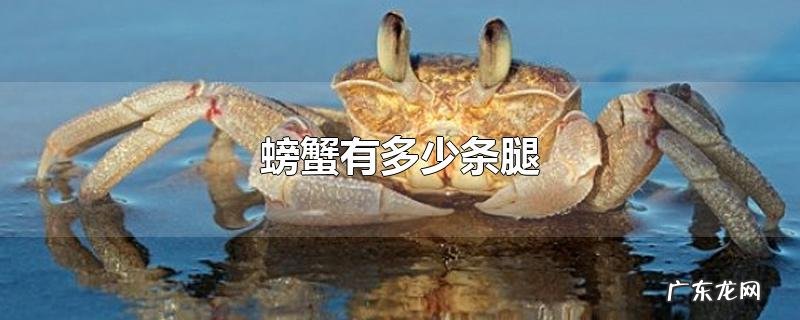 螃蟹有多少条腿