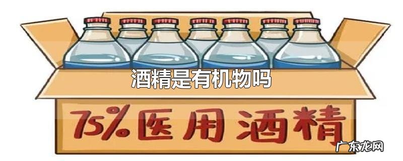 酒精是有机物吗