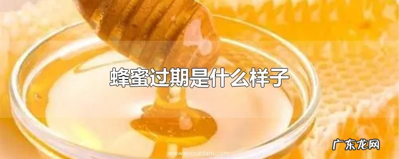 蜂蜜过期是什么样子