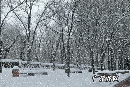 2022年武汉11月会有雪吗