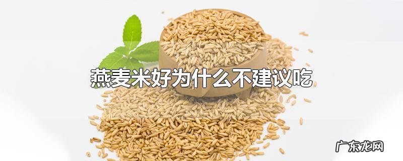 燕麦米好为什么不建议吃
