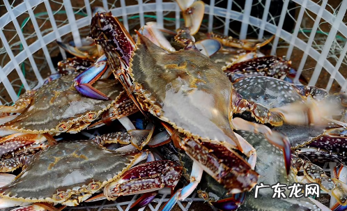 梭子蟹洗好放冰箱第二天烧可以吗