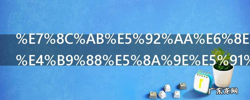 猫咪掉毛怎么办呢 猫咪掉毛如何处理