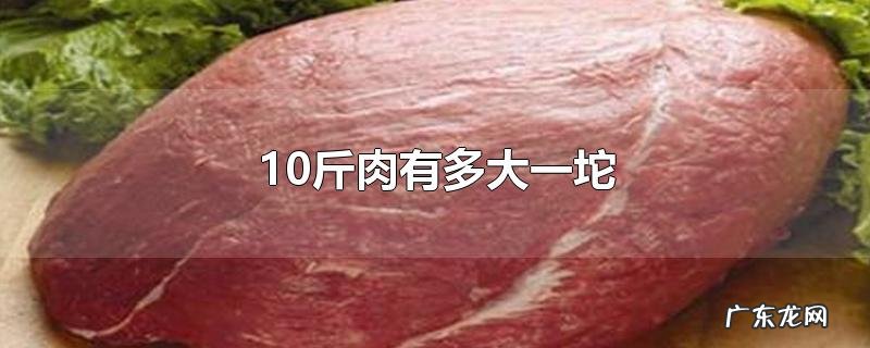 10斤肉有多大一坨