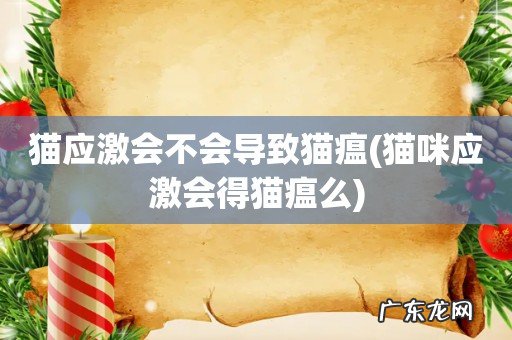 猫咪应激会得猫瘟么 猫应激会不会导致猫瘟