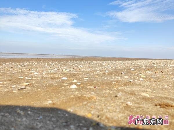 无棣县贝壳堤岛收费吗 山东无棣古贝壳堤