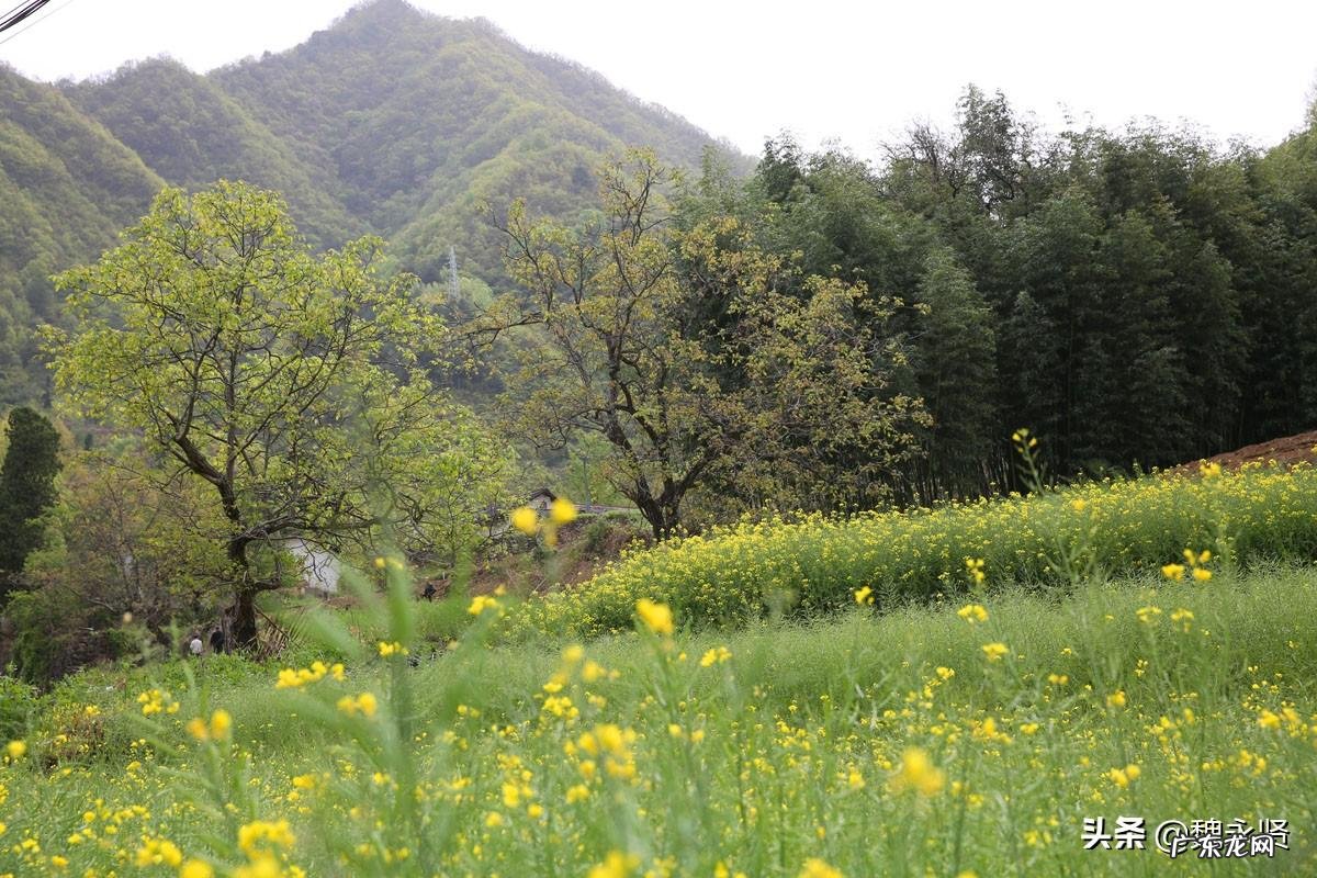住宅围墙风水 城墙式围墙风水