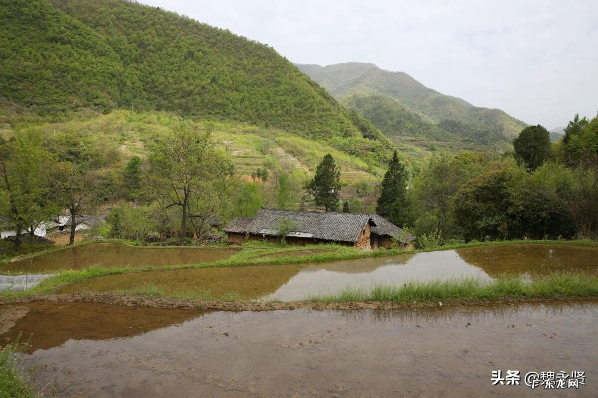 住宅围墙风水 城墙式围墙风水