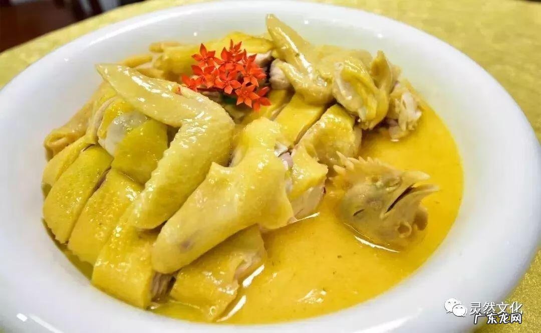 土龙风水好吗 风水中的土龙敢当什么意思啊