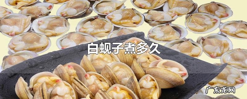 白蚬子煮多久