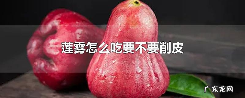 莲雾怎么吃要不要削皮
