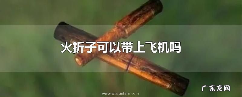 火折子可以带上飞机吗