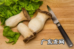 杏鲍菇好吃的做法