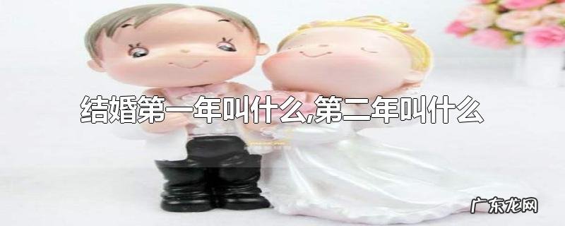 结婚第一年叫什么,第二年叫什么