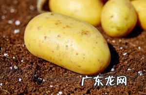 醋溜土豆丝的做法