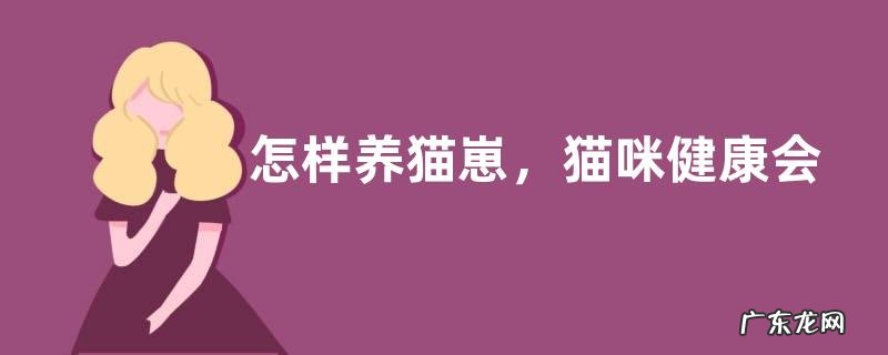 怎样养猫崽，猫咪健康会有哪些表现