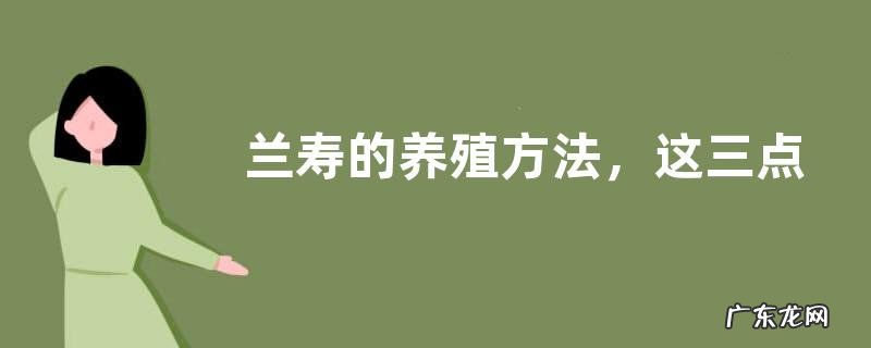 兰寿的养殖方法,这三点是关键