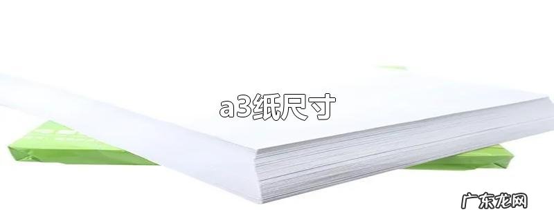 a3纸尺寸