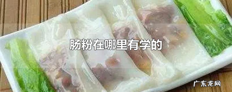 肠粉在哪里有学的