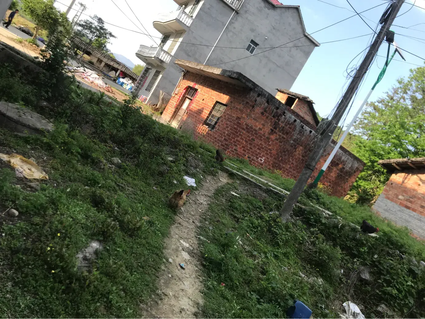 玄咨策划是传销组织吗 玄辉风水策划