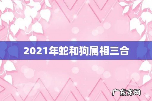 2021年蛇和狗属相三合