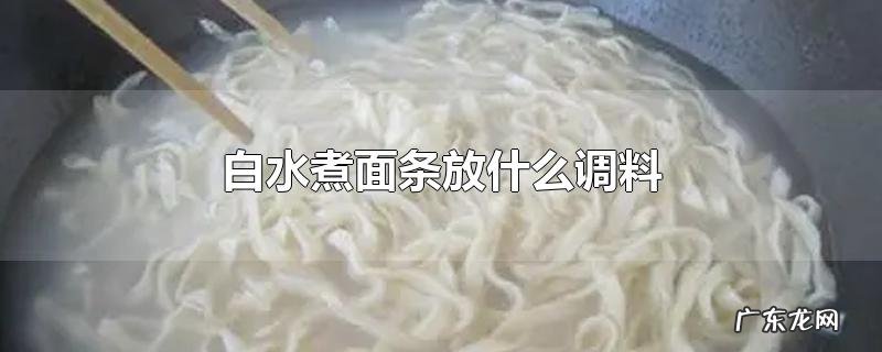 白水煮面条放什么调料