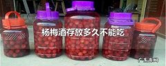 杨梅酒存放多久不能吃