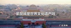 紫禁城是世界文化遗产吗