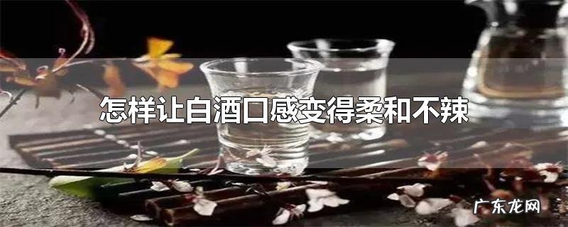 怎样让白酒口感变得柔和不辣