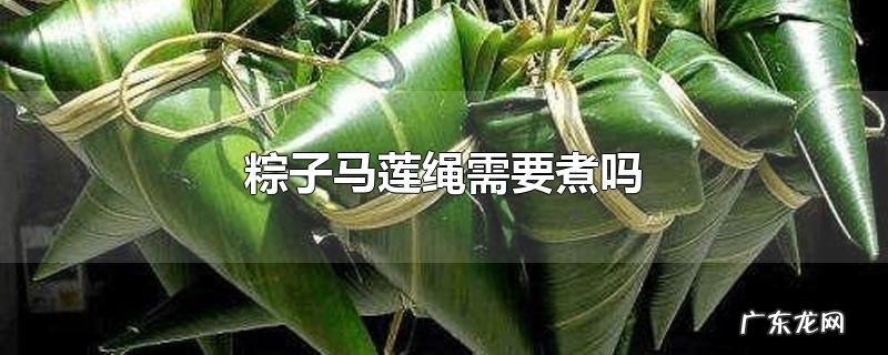 粽子马莲绳需要煮吗