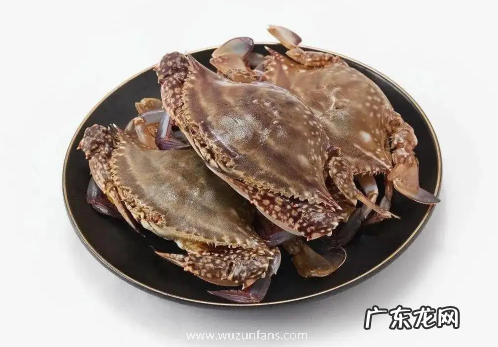 梭子蟹哪种有蟹黄