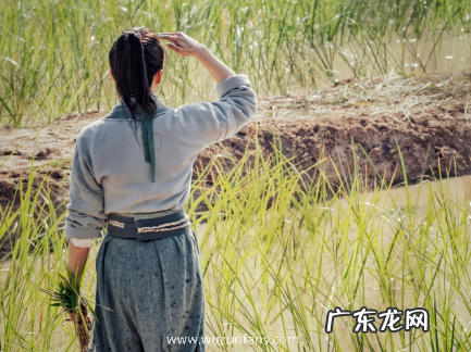 覆流年男主有没有重生