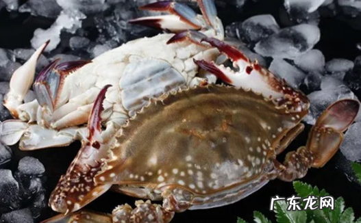 梭子蟹为什么没有蟹黄