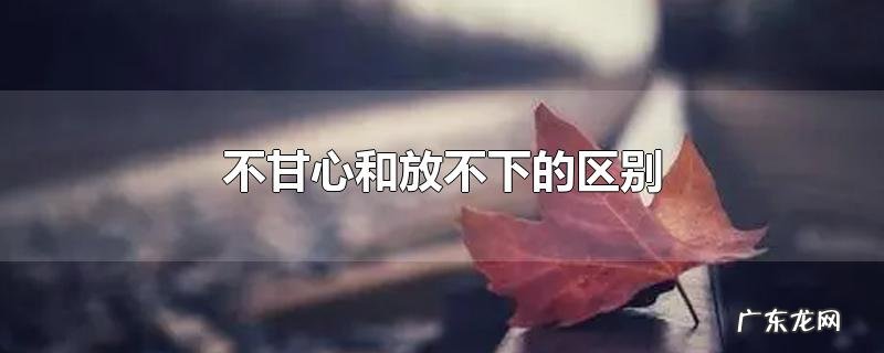 不甘心和放不下的区别