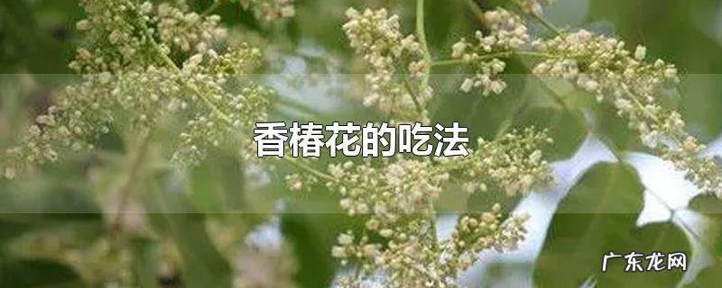 香椿花的吃法