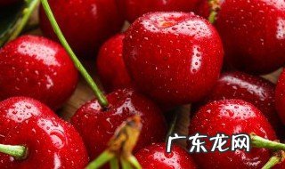 什么树可以嫁接车厘子 哪些树可以嫁接车厘子