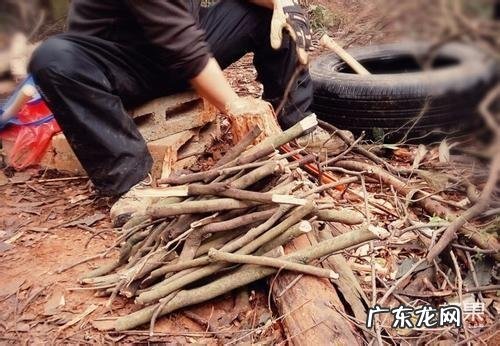 左边眉毛受伤代表什么 左眼眉有伤