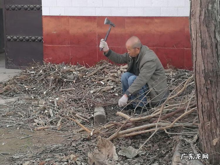 左边眉毛受伤代表什么 左眼眉有伤