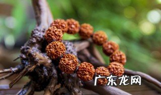 手串橄榄雕刻保养方法 橄榄核雕手串怎么保养