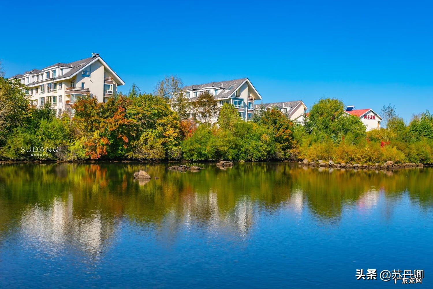 龙吸水风水局 风水海龙价格多少钱